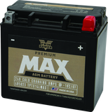 Twin Power GYZ-16HL Premium MAX Battery Replaces H-D 65958-04 Made in USA 240 CCA - 485023