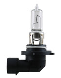 Hella Bulb 9005 12V 65W P20D T4 +50 - 9005P50