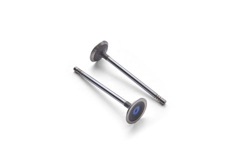 Ford Racing Coyote 5.2L Lightweight Exhaust Valve - Set of 8 - M-6505-M52