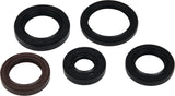 Vertex Gaskets 05-23 Polaris Phoenix 200 Oil Seal Kit - 822394
