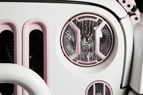 Rugged Ridge 07-18 Jeep Wrangler JK/JKU Raw Elite Headlight Euro Guards - 11230.16