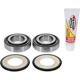 Pivot Works 07-10 BMW G450X Steering Stem Bearing Kit - PWSSK-HD02-000