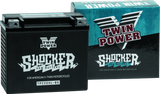 Twin Power YTX-20HL Shocker Battery Replaces H-D 65989-97A - 781154