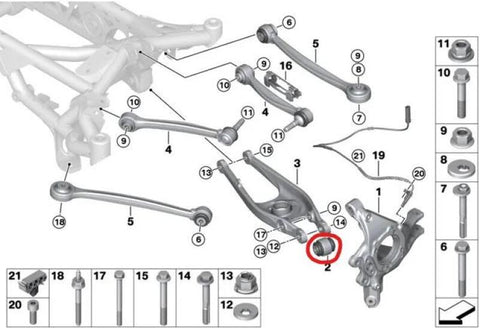 SPL Parts 04-19 BMW 3 Series/4 Series (E9X/F3X/F8X) Rear Lower Control Arm Knuckle Bushing - SPL RLCB E9X