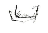 Ford Racing 5.0L Coyote Engine Harness for Automatic Transmission - M-12508-M50A