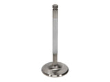 Manley Toyota Land Cruiser 4.5L (1FZ-FE) DOHC 24 Valve 39.5mm Race Flo Intake Valves (Set of 24) - 11186-12