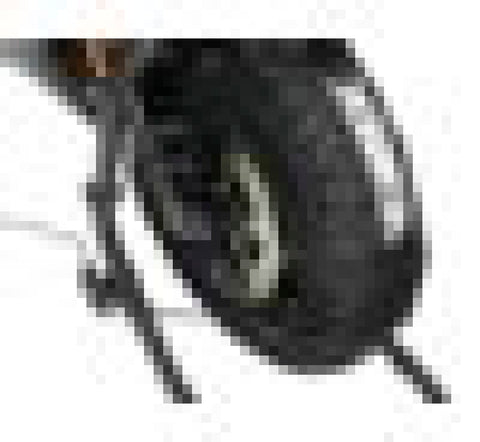 Vortex Racing Tire Warmer 140-165 Rear 120-125 Front - TW102