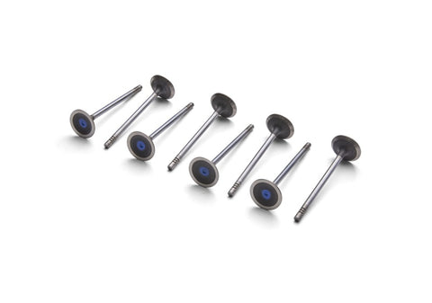 Ford Racing Coyote 5.2L Lightweight Exhaust Valve - Set of 8 - M-6505-M52