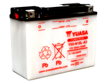 Yuasa Y50-N18L-A3 Yumicron 12-Volt Battery - YUAM228A3TWN