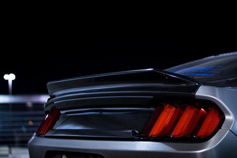 Anderson Composites 15-17 Ford Mustang Type-ST Double Sided Decklid - AC-TL15FDMU-SA-DS
