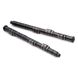 Skunk2 Pro Series Honda H22A/F20B DOHC VTEC Stage 1+ Cam Shafts - 305-05-5200