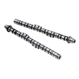 Skunk2 Tuner Series Honda B16A/B17A/B18C DOHC VTEC Stage 1 Cam Shafts (CARB Exempt) - 305-05-0140