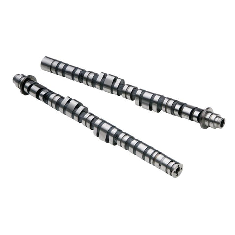 Skunk2 Tuner Series Honda B16A/B17A/B18C DOHC VTEC Stage 1 Cam Shafts (CARB Exempt) - 305-05-0140